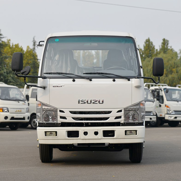 ISUZU 100P Double cabin truck